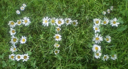 Récapitulatif des programmes du 24 au 30&nbsp;juin